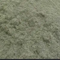 علوفه. همه گیاه