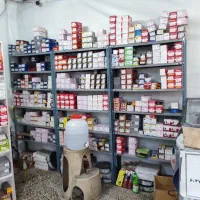 لنت ترمز سواری نو و استوک