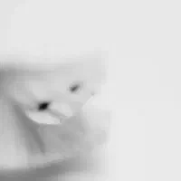 مسئول دفتر خانم