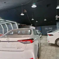 نقاش ماهر  . ماشین