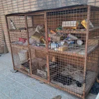 قفس|لوازم جانبی حیوانات|مبارکه, |دیوار