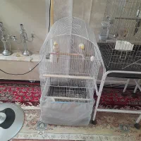 قفس بزرگ ۱۰۳۴