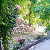 اجاره-باغ-ویلا-تفریحی