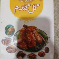 کتاب|کتاب و مجله تاریخی|سیرجان, |دیوار