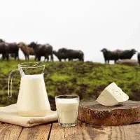 لبنیات|خوردنی و آشامیدنی|مشهد, هنرور|دیوار