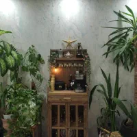 کافی بار  کافه  میز بار