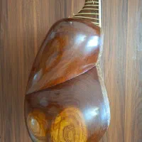 تار بدیعی