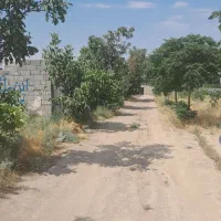 باغچه۵۰۵ متر محمودآباد پاکدشت خورین ورامین