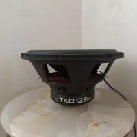 ساپ ۱۲ اینج