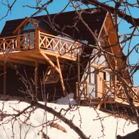 باغ و ویلا(کلبه سویسی )چوبی