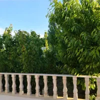 اجاره کوتاه مدت باغ