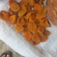 قیسی|خوردنی و آشامیدنی|ملکان, |دیوار