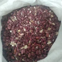 لوبیا چیتی و قرمز