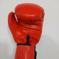 دستکش بوکس
