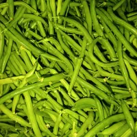 لوبیا سبز محلی ، ارسال رایگان و فروش فوری