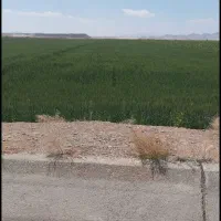 فروش-زمین-کشاورزی