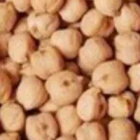حبوبات
