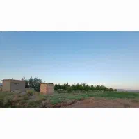فروش-باغ-زردالو-وزمین-کشاورزی