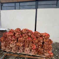 چوب ذغال راش تکه تکه