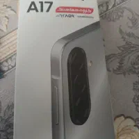 a17