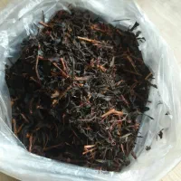 چوب چایی(قلم خانه ۲)