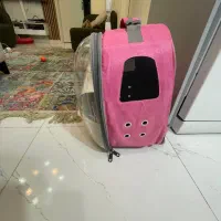کیف حمل سگ
