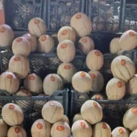 جای ۲ نیسان در تره بار مرکزی تهران