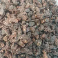 مویز وکشمش