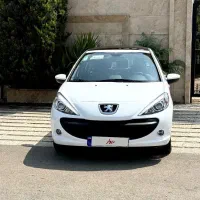 207 ارتقا یافته در حد خشک