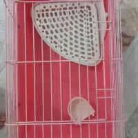قفس خرگوش وخوکچه
