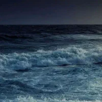 ۰۹۱۳۱۱۸