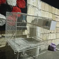 3تا قفس
