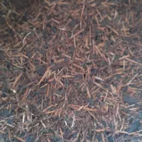 چوب چایی لاهیجان چایی قهوه خانه ای