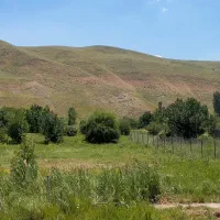 زمین  اکازیون  طالقان