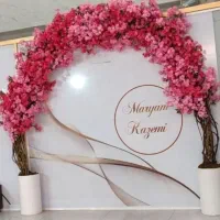 اجاره تمامی لاین های زیبایی