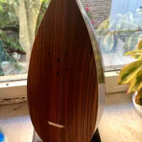 تنبور ترکه ای مضراب خورده