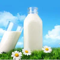 شیر بز