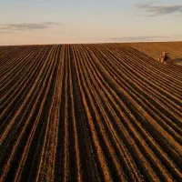 زمین کشاورزی روستای عباس آباد