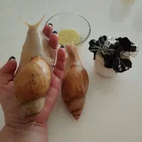 کرم ارگانیک حلزون
