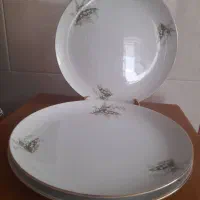 ظرف و ظروف ارکوپال و ژاپن