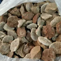 کشک گوسفندی تازه بیرجندی