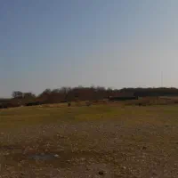 زمین