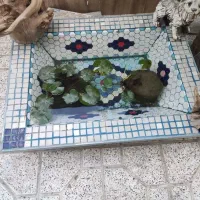 گل نیلوفر آبی