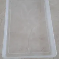 سینی لواشکی سالم