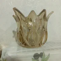 لاله لوستر