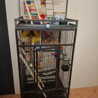 قفس پرنده|لوازم جانبی حیوانات|تهران, سوهانک|دیوار