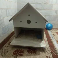 لونه