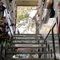 کیف وکفش زنانه بچگانه مردانه