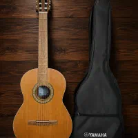 گیتار مدل p80 نونو