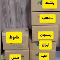 برای اولین بار در ایران حل شد